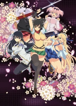 Senran Kagura: Ninja Flash